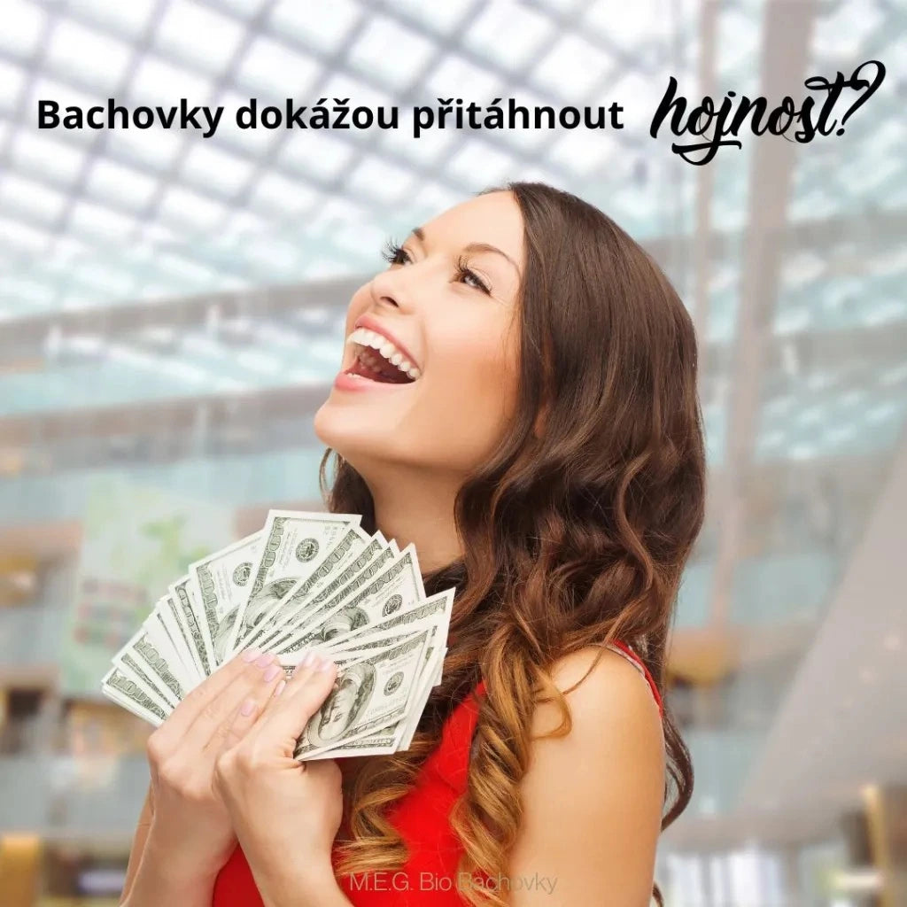 Jak pomocí Bachových esencí dosáhnout větší hojnosti?